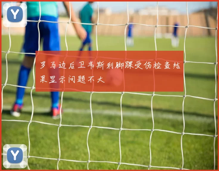 罗马边后卫韦斯利脚踝受伤检查结果显示问题不大